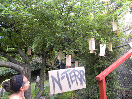 N Terr (Enter)