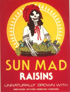 sun-mad2