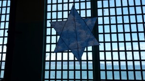 star kite with birds (1024x576)
