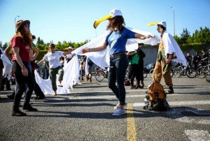 sea gull dance