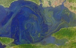 Emin Ozsoy Sea of Marmara flows (1024x704) (800x505)