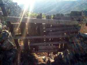 sunlight through a typical gate